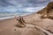 Driftwood on a Lake Huron Beach Under a Cloudy Sky