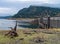 Driftwood lines the shore of the reservoir at Lookout Point Dam on a foggy day near Lowell, Oregon, USA