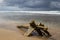 Driftwood log at beach and storm clouds