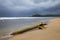 Driftwood log at beach and storm clouds