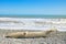 A driftwood log laying on the shore