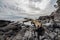 Driftwood log on the rocky coast of the sea