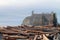 Driftwood Logs Covering a Beach with Seastacks