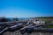 Driftwood Logs San Juan Island