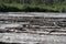 Driftwood, logs, sand and mud in the Lowe River in Valdez Alaska