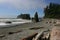 Driftwood and natural stone arch at Ruby Beach