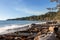 Driftwood piled on a beach on the coast of Vancouver Island