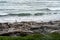 Driftwood piles on the shores of Ruby Beach in Olympic National Park in Washington State