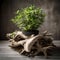 Driftwood with a plant growing - ai generated image