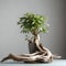 Driftwood with a plant growing - ai generated image