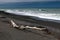 Driftwood on Rarangi beach