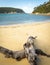 Driftwood At Refuge Cove