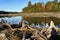 Driftwood on river edge