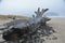 Driftwood and rocks at Cape Meares on the Oregon Coast