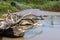 Driftwood and rocks on the Karkloof river