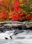 Driftwood by a Rushing Stream