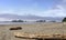 Driftwood on the sandy Pacific coast.  ocean waves on the background. blue sky and water mist over the ocean on a sunny day,