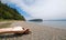 Driftwood on the shore of Shine Tidelands State Park on Bywater Bay near Port Ludlow in the Puget Sound in Washington State