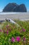 Driftwood Sits Among Flowers on Meyers Beach