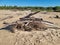 Driftwood on Stockton Beach New South Wales, Australia, with waves visible on the seashore