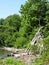 Driftwood teepee at Salt Point on Cayuga Lake