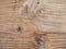 Driftwood texture, grain rough drift wooden background closeup