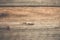 Driftwood wall background - horizontal planks