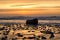 Driftwood washed on the rocky shore by splashing waves during a sunset in Ringkobing, Denmark