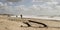 Driftwood on a windswept beach and light cloud on Il de RÃ©