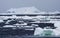 Drijfijs Antarctica, Drift ice Antarctica