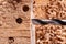 Drilling holes in raw wood. Carpentry drill in a carpentry workshop