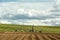 Drilling a water well for irrigation in an Idaho farm field