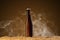 Drink mockup series. Brown beer bottle with reflections that stands on corns of wheat on a umber studio background with light