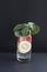 Drink from strawberry, lemon, mint on mineral water