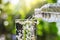 Drinking water pouring from bottle into glass on blurred fresh green nature bokeh background