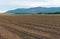 Drip irrigation system watering organic plants in the field.