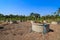 Drip irrigation watering system in lemonfarm