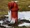 A Dripping, Freezing Fire Hydrant #1