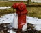 A Dripping, Freezing Fire Hydrant #2