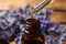 Dripping lavender essential oil into bottle, closeup