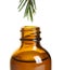 Dripping natural essential oil from tea tree branch into bottle on white