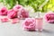 Dripping rose essential oil into bottle with pipette and fresh flowers on grey table