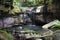 Dripping water, cool moss and ferns at Carnarvon Gorge.