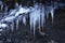 Dripping water frozen into a group of icicles on a steep rock face.