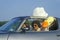 Driver with aviator sunglasses and stuffed animals