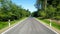 Driver POV of a straight tarmac country road through forest in summer