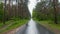 Driver`s point of view, wet asphalt road with green trees growing alongside. Calm summer landscape on rainy cloudy day