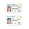 Drivers License. A plastic identity card. Vector flat illustration of the template.