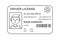 Drivers License. A plastic identity card. Vector outline illustration of the template.