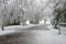 Driveway buried under snow.